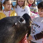 Jardim Zoológico