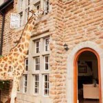 giraffe-manor-9