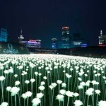 A entrada no evento com milhares de flores brancas iluminadas.