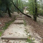 Caminho entre os tanques de congelação e os silos de armazenamento.