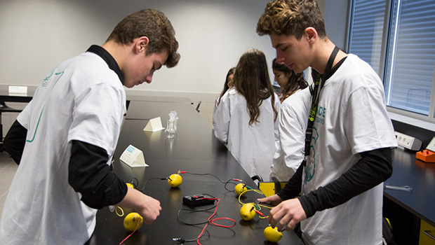rede de pequenos cientistas