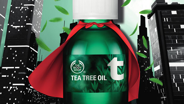 O Tea Tree Oil cresceu!