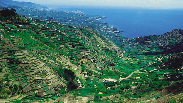 Madeira, o melhor destino insular do mundo