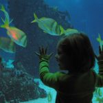 as escolhas de Leonor Vasconcelos, blog 'Trinta e Tal'