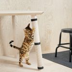 Ikea: novos produtos para animais