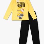 Minions, €14,90