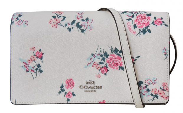 Carteira em pele, Coach €119 (PVP €195)