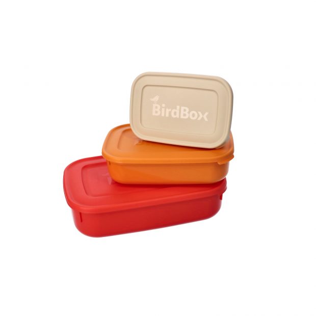 Birdbox (€4,99)