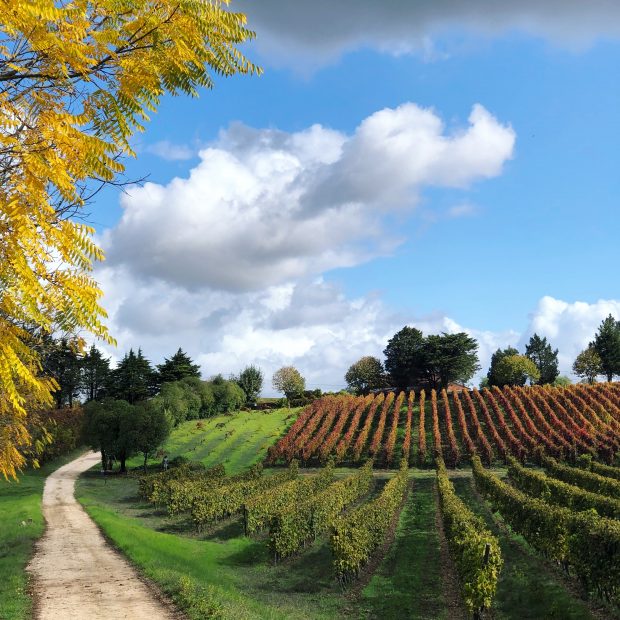 Quinta do Monte d'Oiro