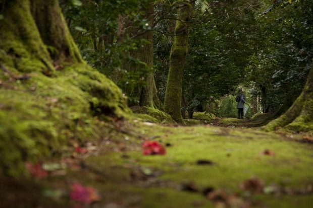 (c) Parque Terra Nostra