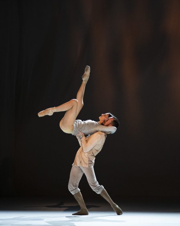 Fall © Hugo David 2022