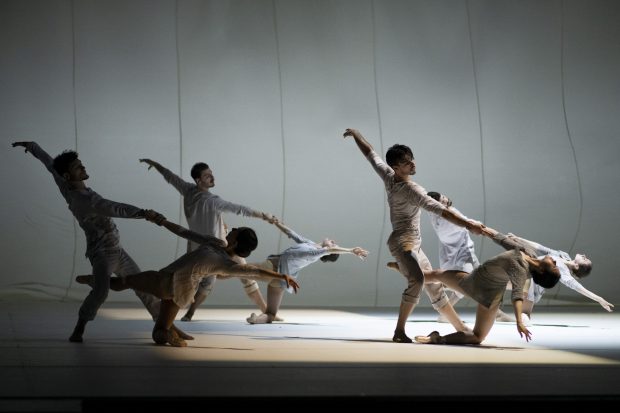 Fall © Hugo David 2022