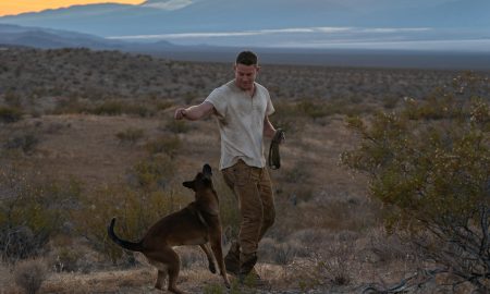 DOG_10533_RC

Lulu the Belgian Malinois and Channing Tatum stars as Briggs in

DOG 

A Metro Goldwyn Mayer Pictures film

Photo credit: Hilary Bronwyn Gayle/SMPSP

© 2022 Metro-Goldwyn-Mayer Pictures Inc. All Rights Reserved