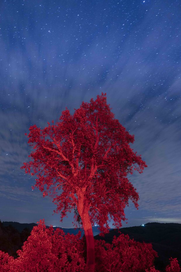 Fotografia tirada em Nagozelo do Douro. 'Noites do Norte' de Christian Baes 