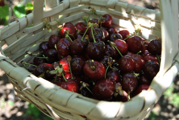 Cesta com Cereja