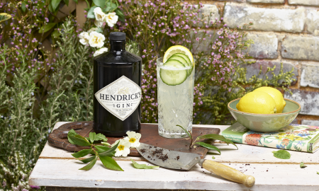 Hendrick's Cucumber Lemonade (2)