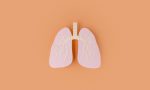 paper-made-lungs-isolated-on-orange