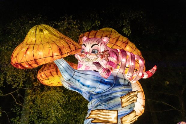 Alice in Magical Garden 1