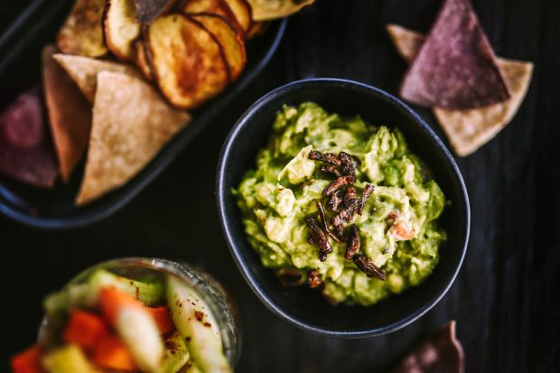 Guacamole con chapulines 