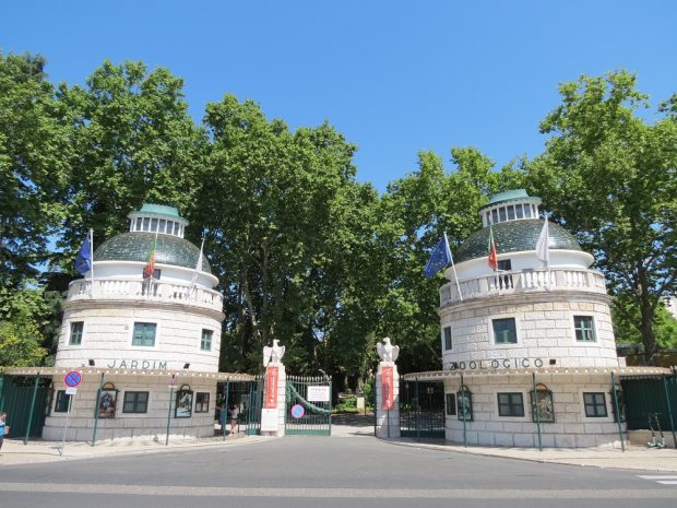 Jardim Zoológico_Torreões