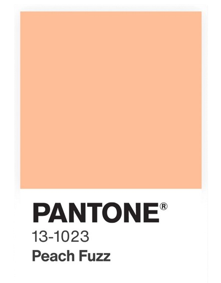Peach Fuzz é a cor de 2024. Créditos: Pantone