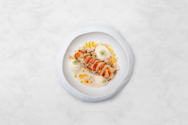 Ceviche de lavagante