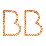 ORANGE B EARRINGS