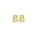 YELLLOW MINI B EARRINGS