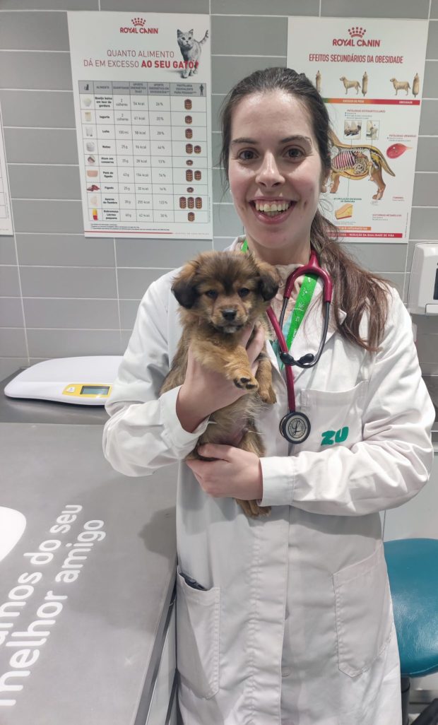 Miriam Freire, médica veterinária da ZU
