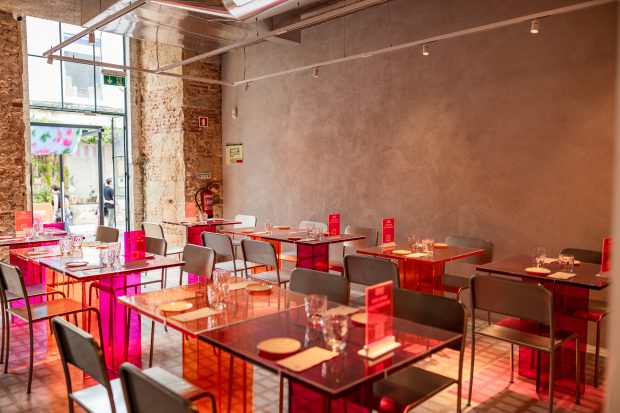sophiarestaurantedia-287