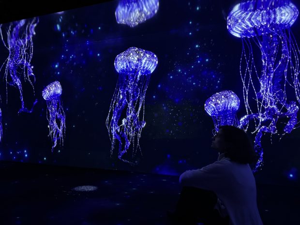 Universo-Submerso_Oceanario-de-Lisboa (3)