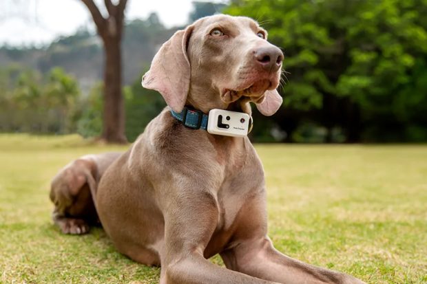 ROLA-PetTracker-3